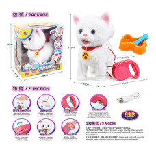 Кошеня (55 G-11) в коробці
