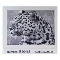 Алмазна мозаїка (JS 20465)