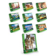 Пазли Danko Toys 1000 ел. (C1000-11-01 02 03...10)
