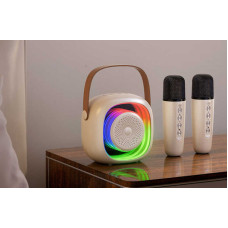 Колонка (C 65432) 2 мікрофони, bluetooth, підсвічування, зміна голосу, type-c, слот для карти пам’яті, aux роз’єм, в коробці