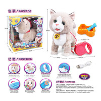 Кошеня (55 G-8) в коробці