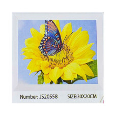 Алмазна мозаїка (JS 20558)
